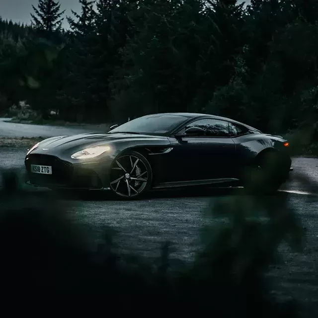 Black Aston Martin sports car between the bushes