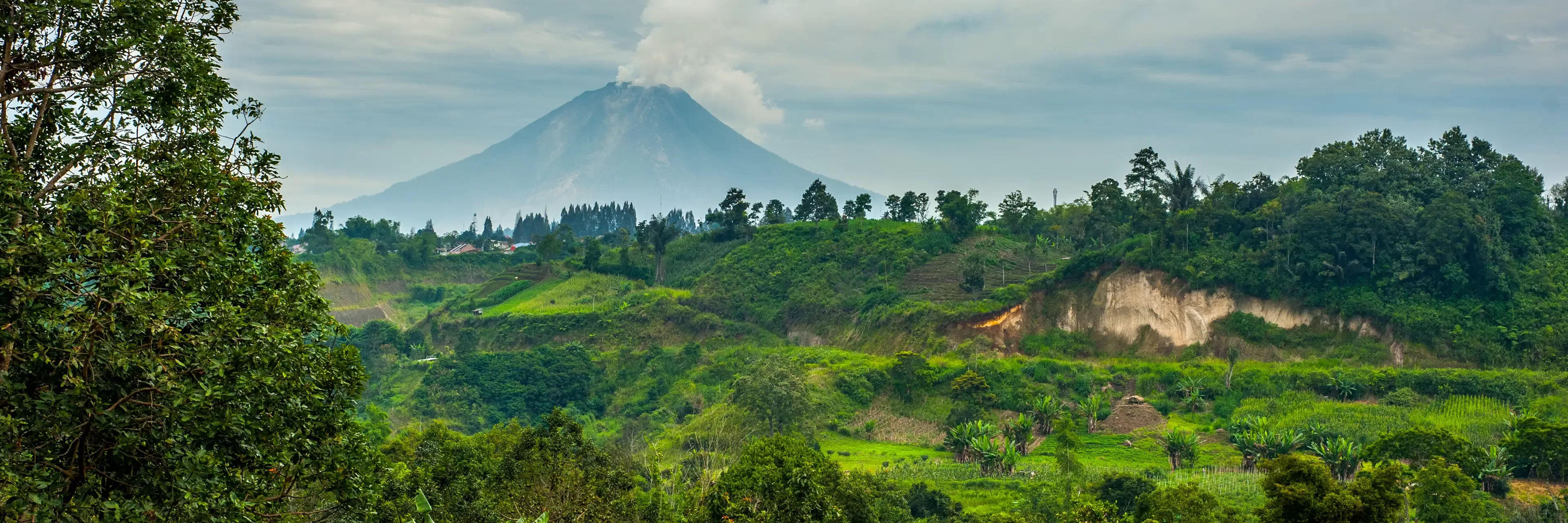A lush green landscape with trees and hills in the foreground, and a large volcano in the background emitting a plume of smoke under a cloudy sky.