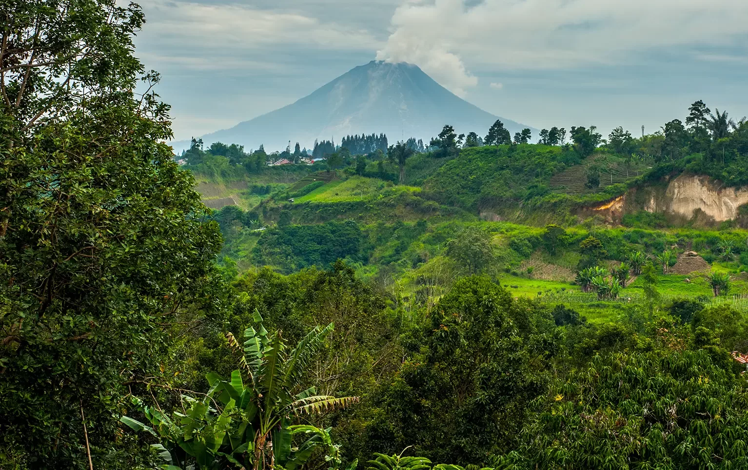 Lush green landscape with dense trees and rolling hills in the foreground, and a smoking volcano rising in the distance under a cloudy sky.