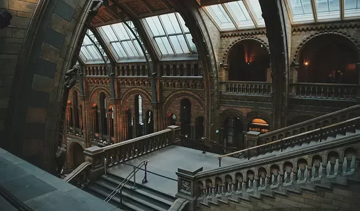 The Natural History Museum in London, showcasing its iconic architecture and vibrant surroundings.