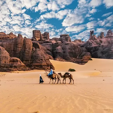 People riding camels through the sand in Alula, Saudi Arabia