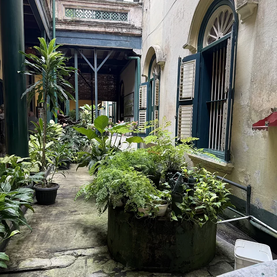 A narrow, shaded courtyard with potted plants and greenery along the stone floor, bordered by old, weathered walls and arched windows with open shutters. A covered walkway is visible in the background.