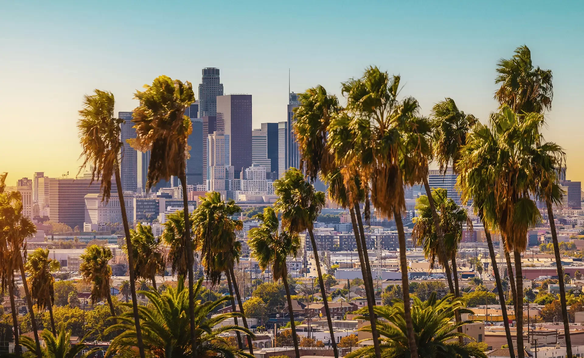 A scenic view of a city skyline with tall palm trees in the foreground. Skyscrapers stand against a bright, clear sky, creating a contrast between urban and natural elements.