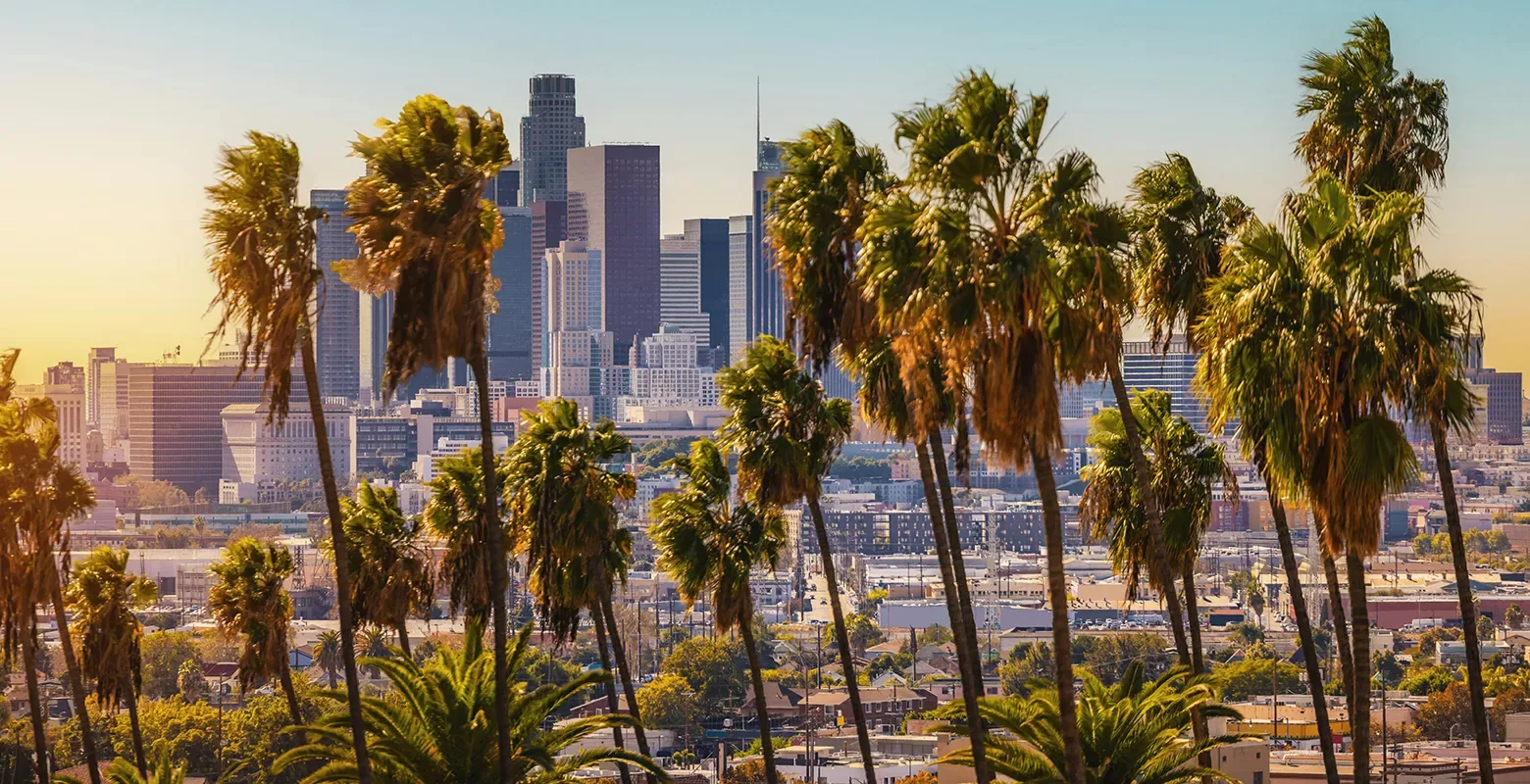 A view of a city skyline with tall palm trees in the foreground, set against a clear blue sky. The sun casts a warm glow over the landscape, highlighting the contrast between the natural and urban elements.