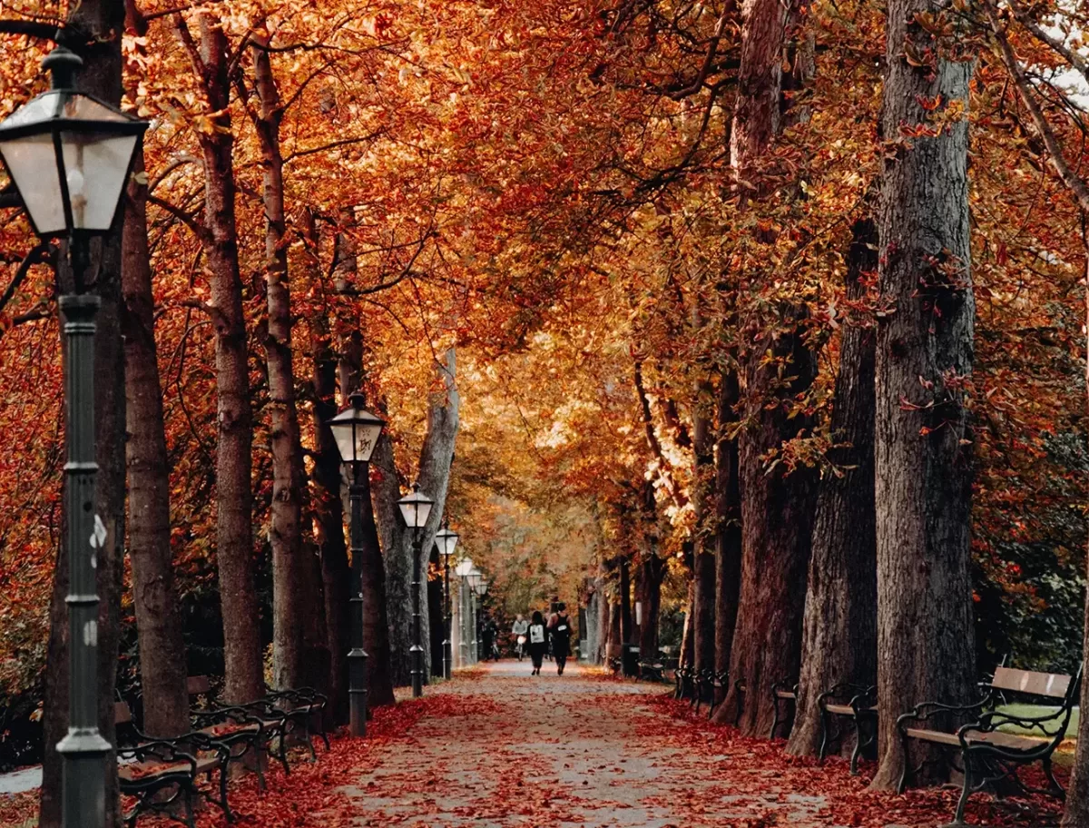 https://quintessentially.com/assets/general/_1200x912_crop_center-center_none/Feature_2024-09-05-100302_kapm.webp