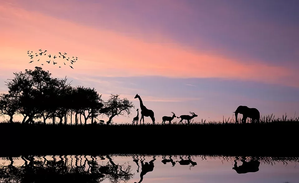 A tranquil scene showcasing animals in a line walking past a river against a sunset backdrop sky.