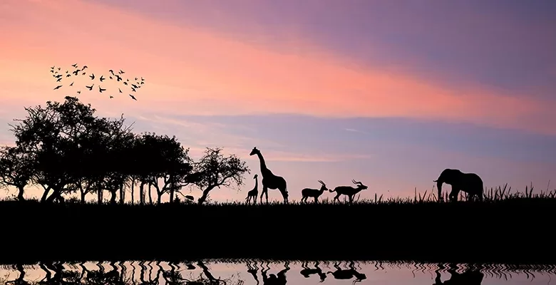 A tranquil scene showcasing animals in a line walking past a river against a sunset backdrop sky.