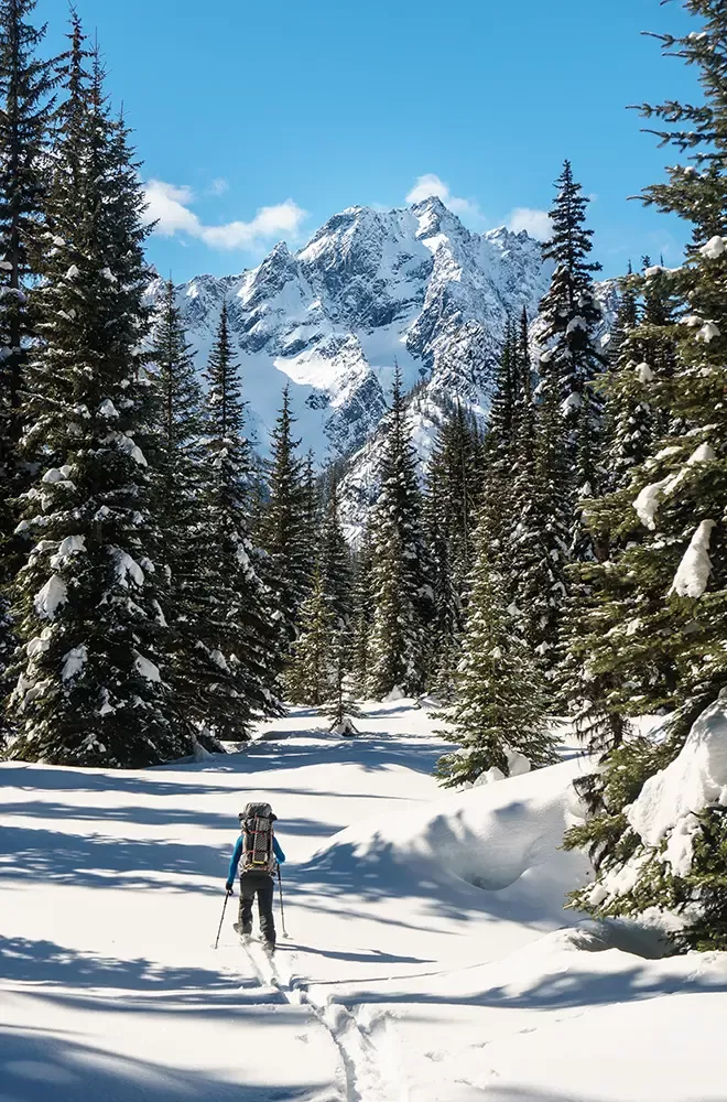 Person skiing in the snow through trees with views of snowy mountains