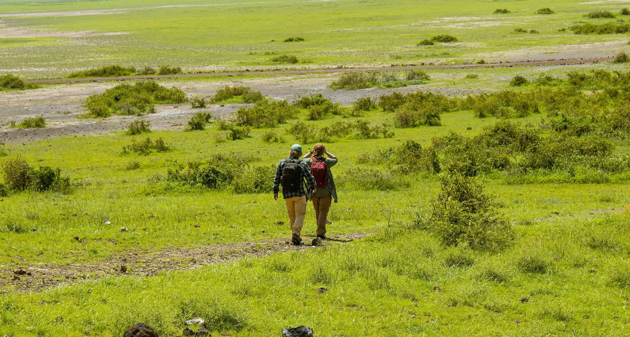 Two people with backpacks walk along a dirt path through a lush, green landscape with scattered bushes and grass, under a bright sky.