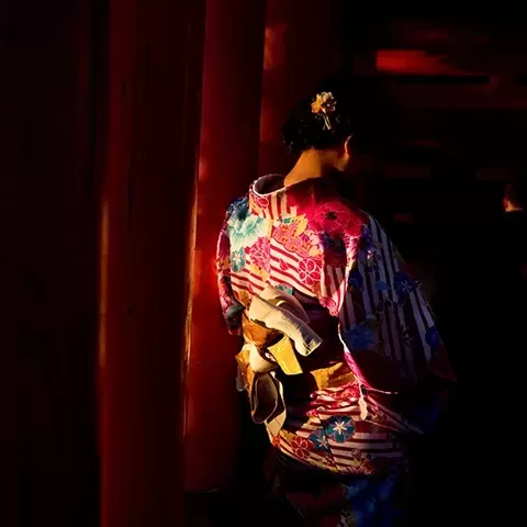 Back of a women behind a curtain wearing traditional Japanese geisha dress