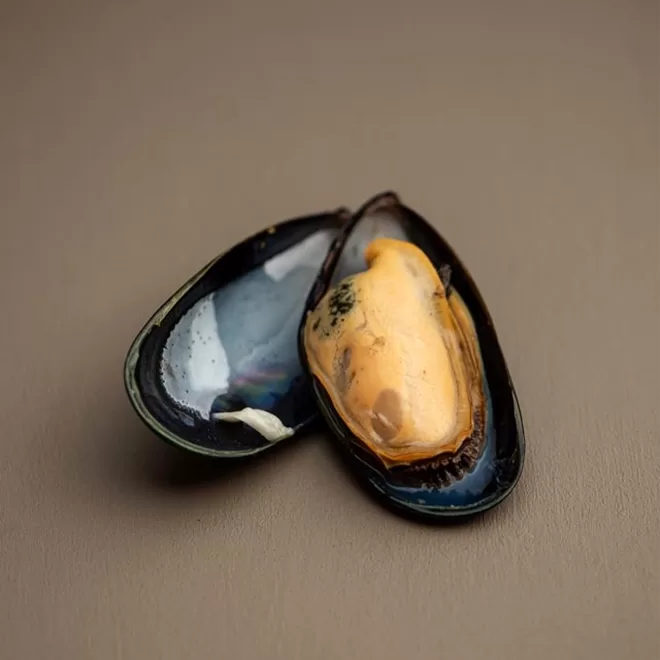 A single opened mussel shell with an orange-yellow mussel inside is set on a plain, light brown surface. One half of the shell is empty, while the other holds the mussel meat.