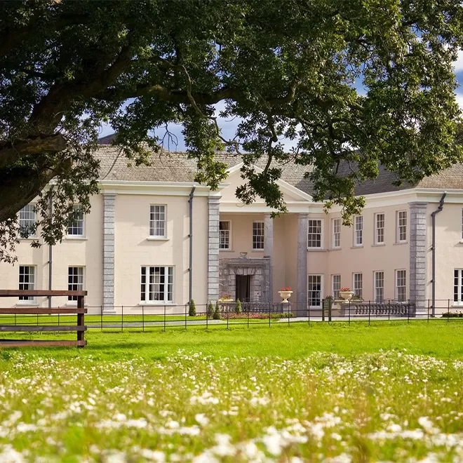 A large cream-colored mansion with gray stone accents and columns, set behind a green lawn and a wooden fence, with a large tree in the foreground and wildflowers in the grass.