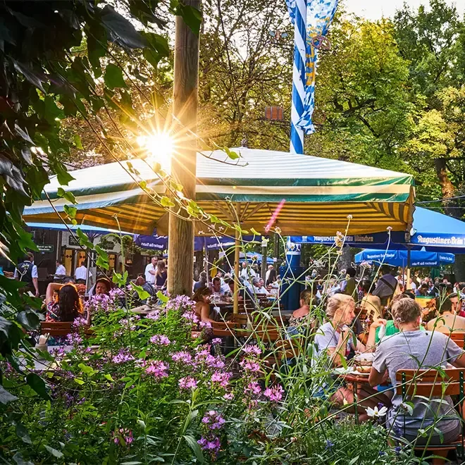 People are sitting and eating outside at Augustiner Keller in Munich surrounded by plants.