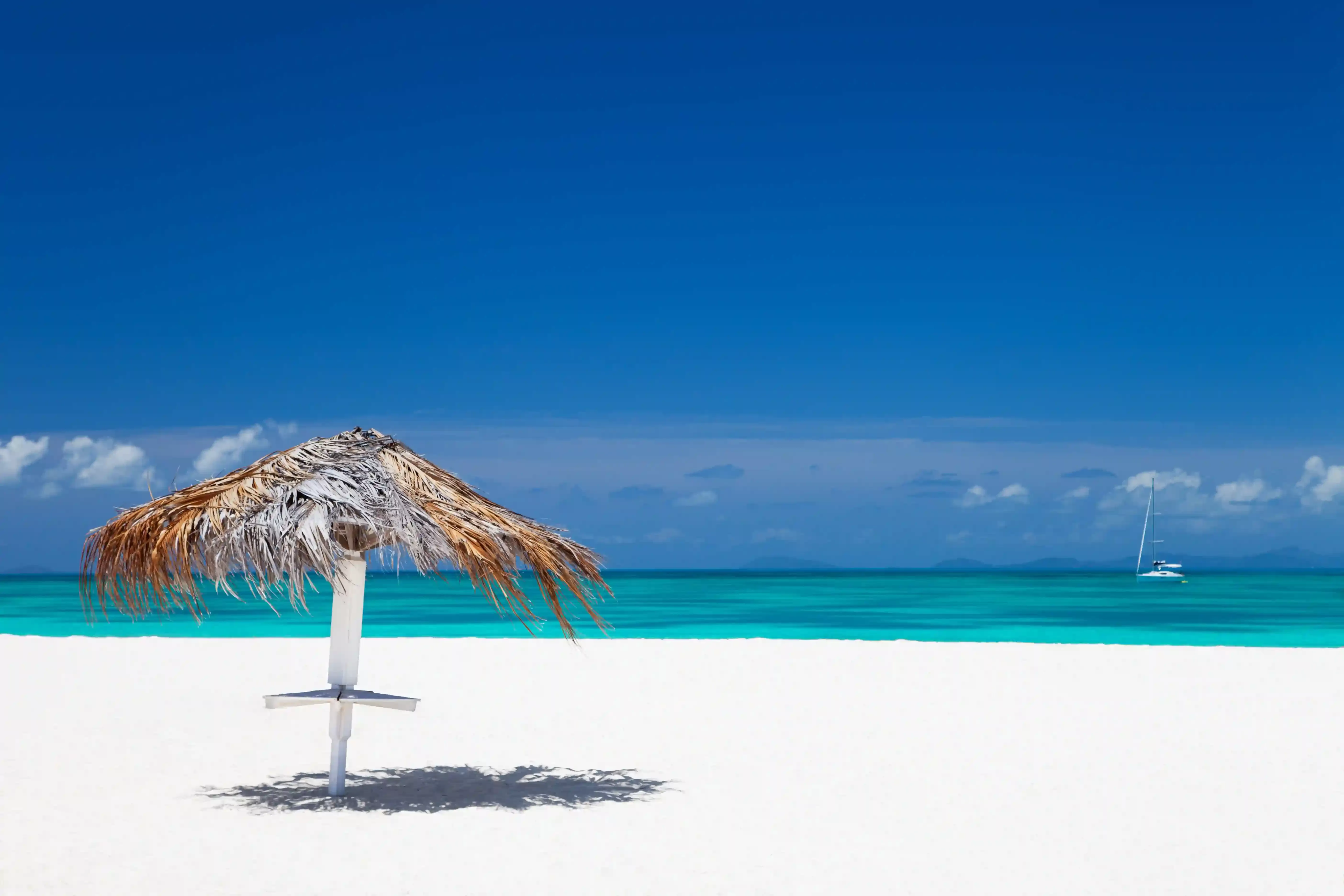 Palm tree on white sand and clear blue sea beach in Anegada