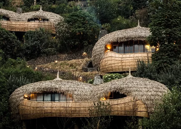 Exterior of luxury treehouses among trees at Bisate Lodge, Rwanda