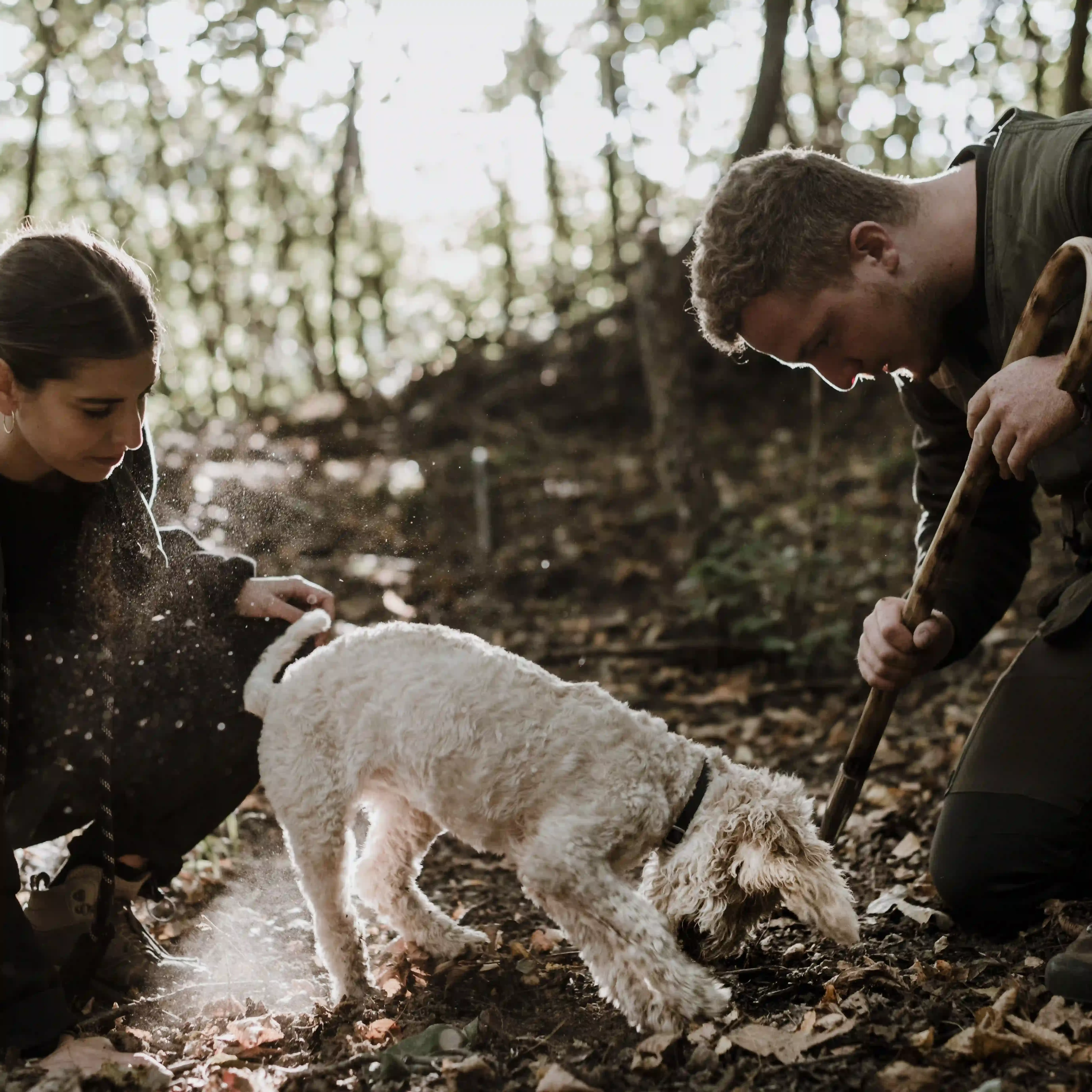 Man and women in woods with truffle hunting dog
