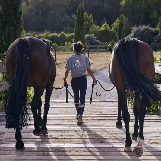 Back of women walking over bridge with two horses at Casetta, Tuscany