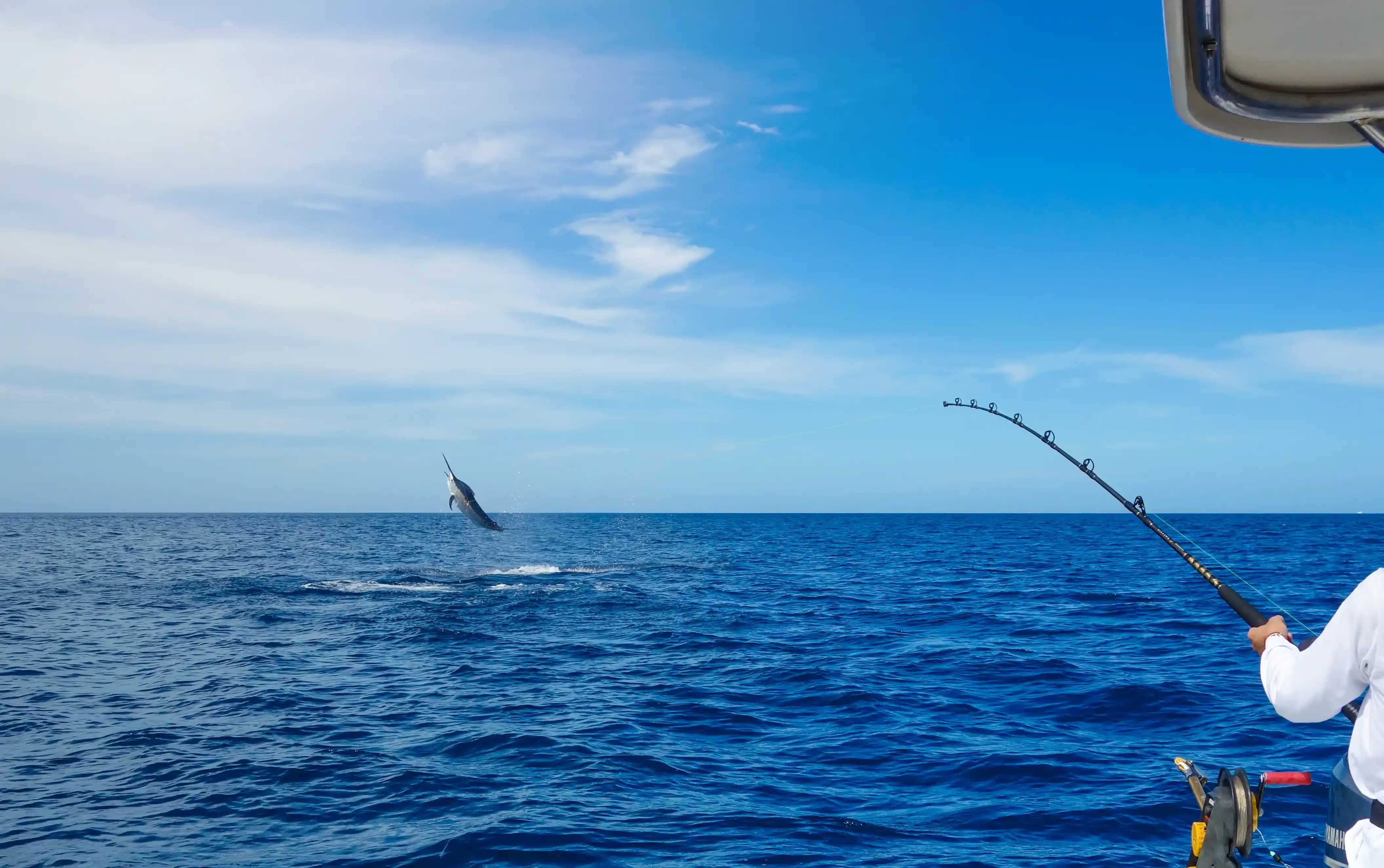 Deep sea fishing