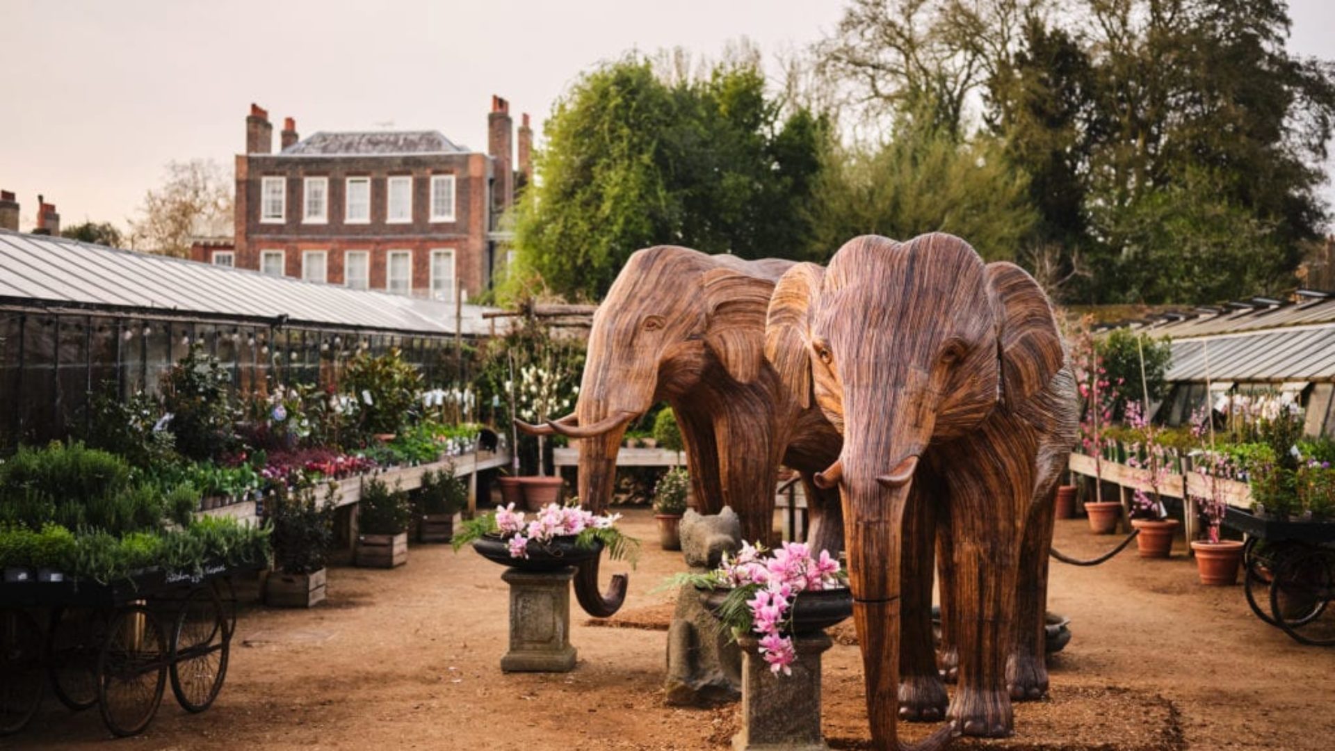 Wooden elephant sculptures outside in a garden centre