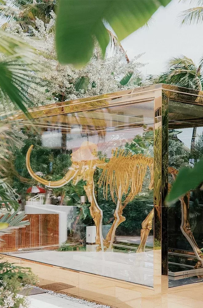 Mammoth bones in a glass box