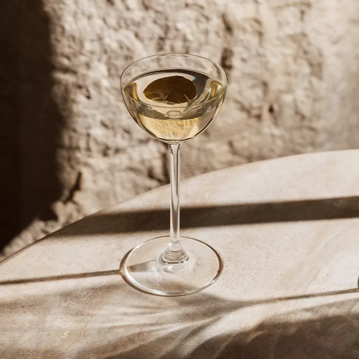 A coupe glass filled with a light-colored drink and a large ice cube sits on a sunlit stone surface, with soft shadows cast in the background.