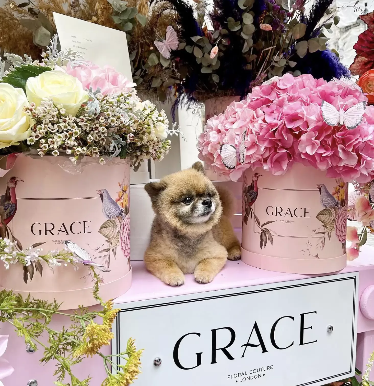 Visual merchandise display of Grace Floral London boxes with colourful flowers with a puppy in the middle