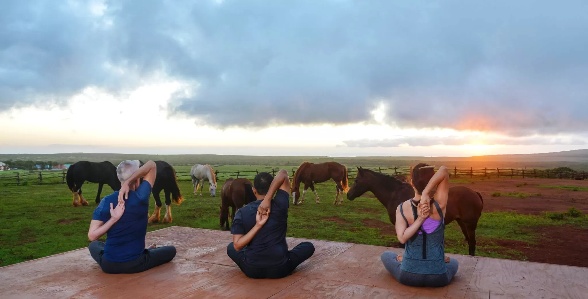 Three people doing yoga on the floor outside amongst horses and nature at sunset