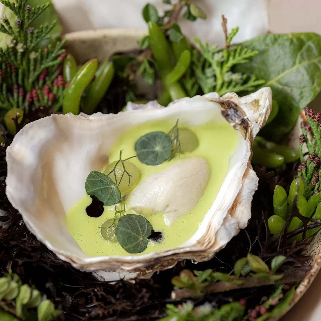A gourmet dish served in a large oyster shell, featuring a creamy green sauce, a quenelle of mousse, small green leaves, and surrounded by fresh herbs and greens.
