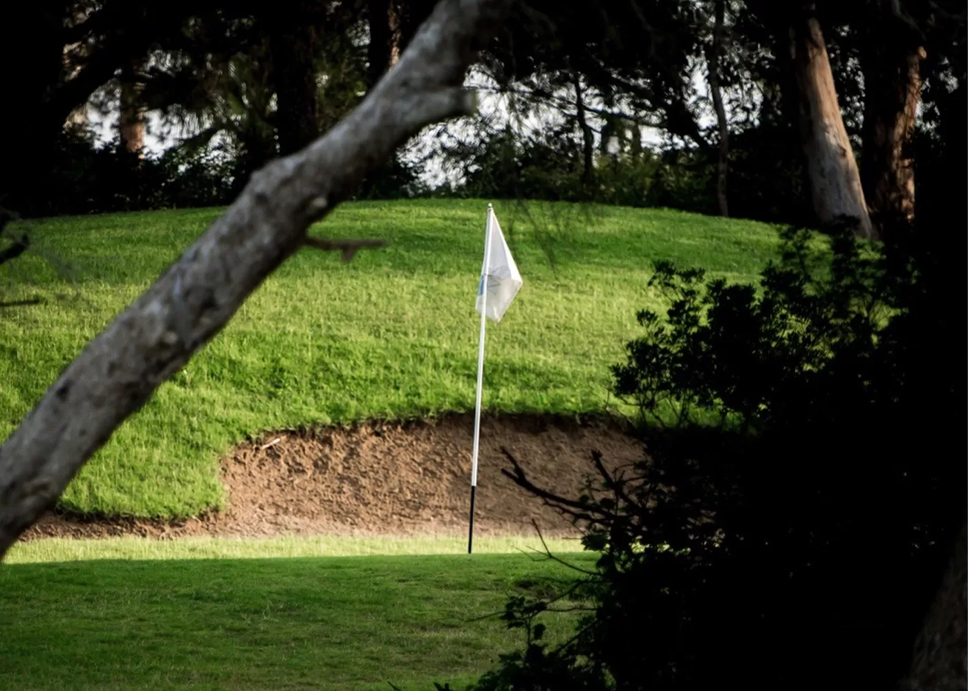 A golf flag on a grassy course surrounded by trees. The flagstick is near a sand trap, and sunlight creates contrasting shadows on the green. A large tree branch frames the foreground in in Temuda Bay.