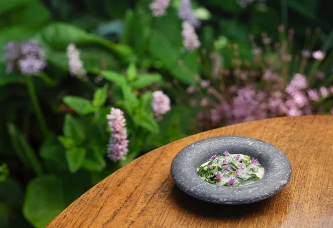 A small stone bowl with a creamy dish topped with finely chopped herbs and purple edible flowers sits on a wooden table, with lush green foliage and purple flowers blurred in the background.
