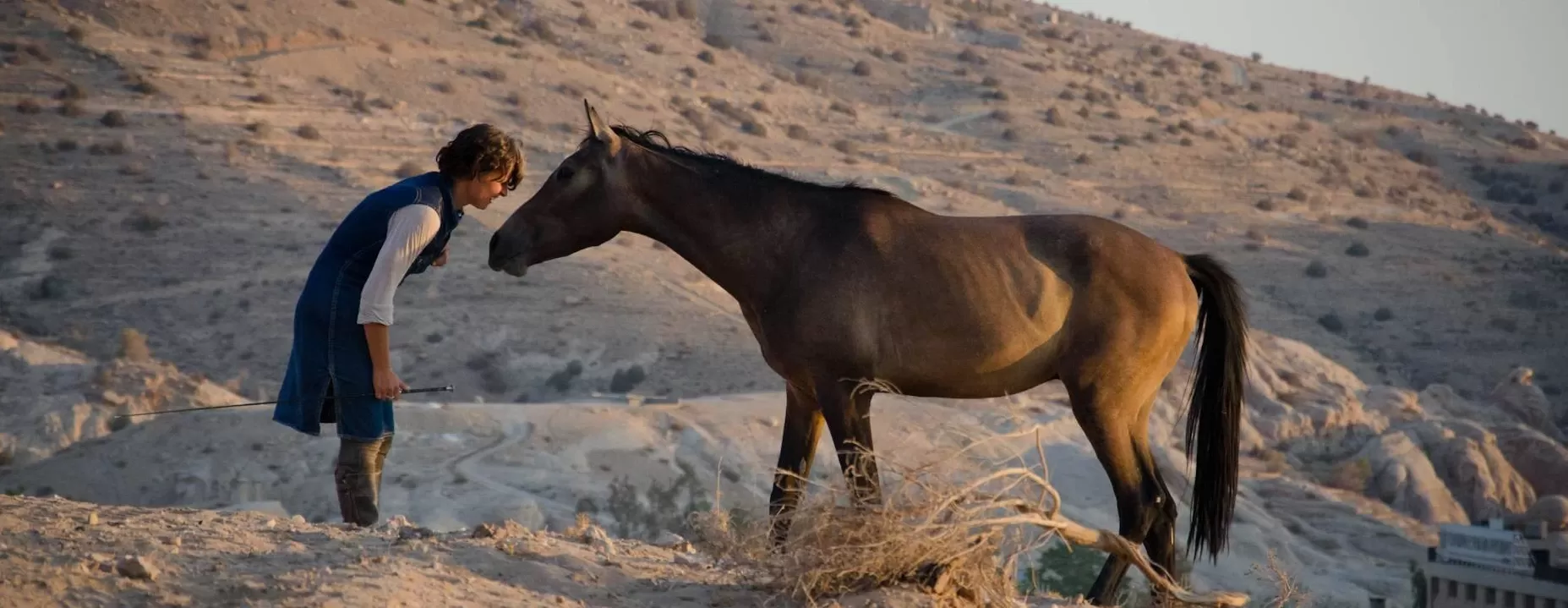 Women bending face-to-face and connecting with a horse in the desert