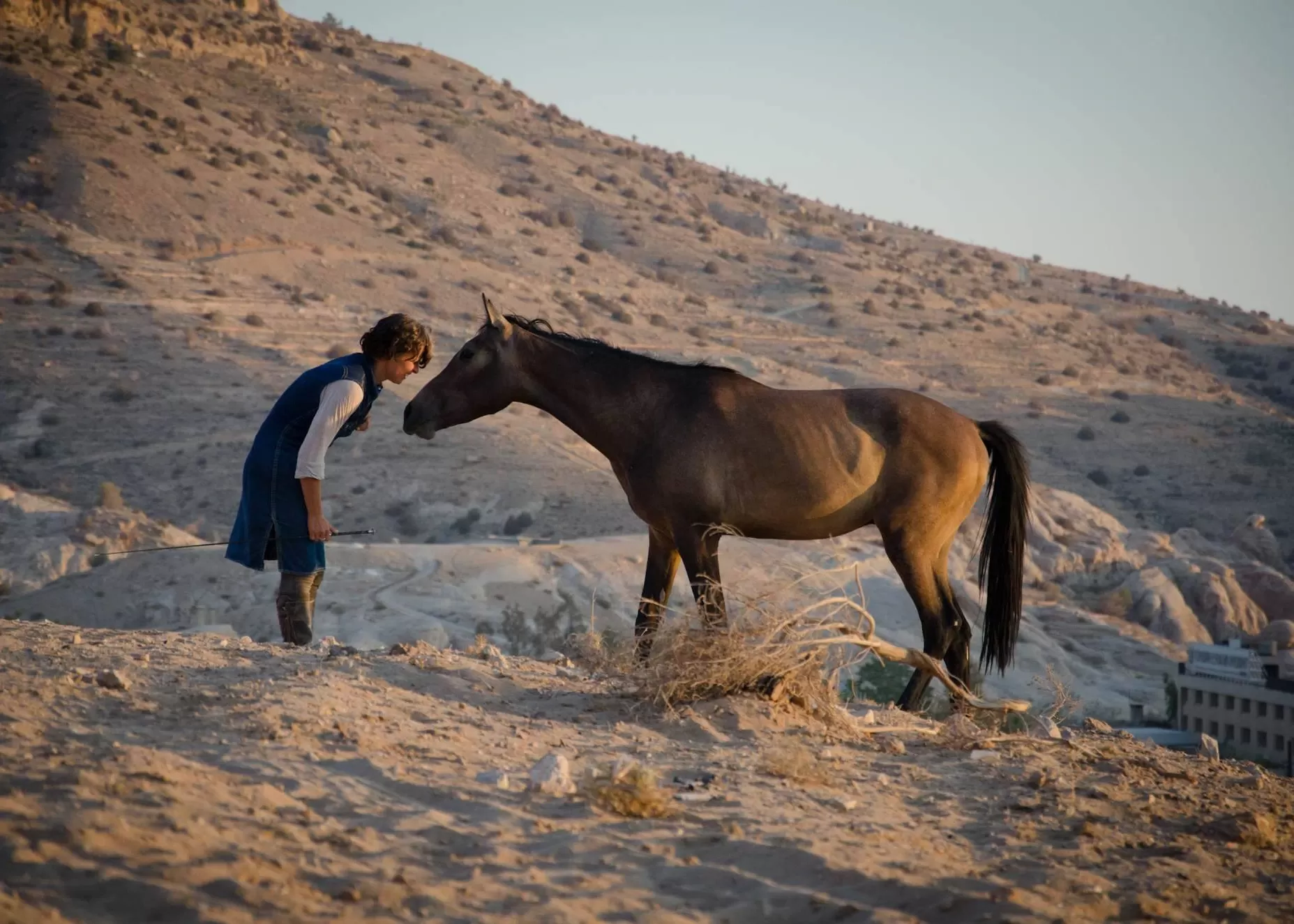 Women bending face-to-face and connecting with a horse in the desert