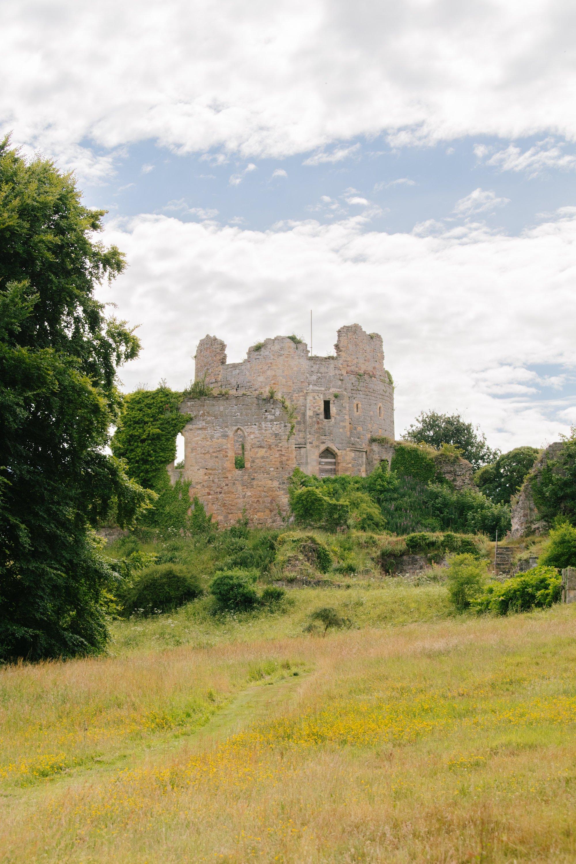 Portrait shot of Hawarden Castle between grass and trees.