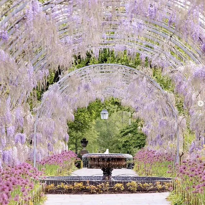 Fountain centrepiece with pink flower arch in RHS Garden Wisley, Woking