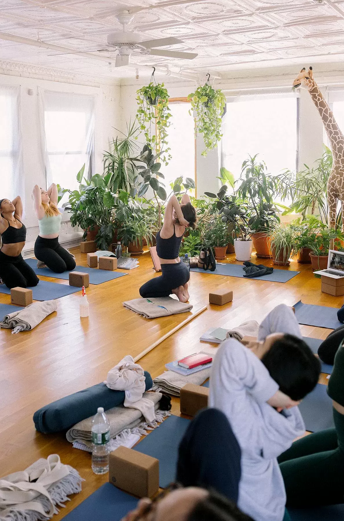Women doing yoga through in a yoga studio full of plants at Sky Ting: Yoga in Sicily