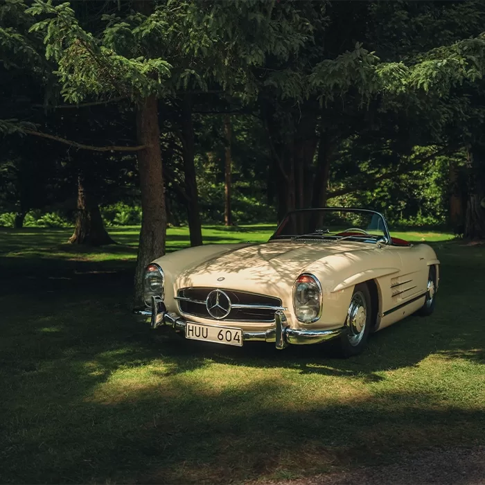 A vintage cream-colored Mercedes-Benz convertible is parked on grass under the shade of large trees, with sunlight filtering through the branches. The car has a HUU 604 license plate.