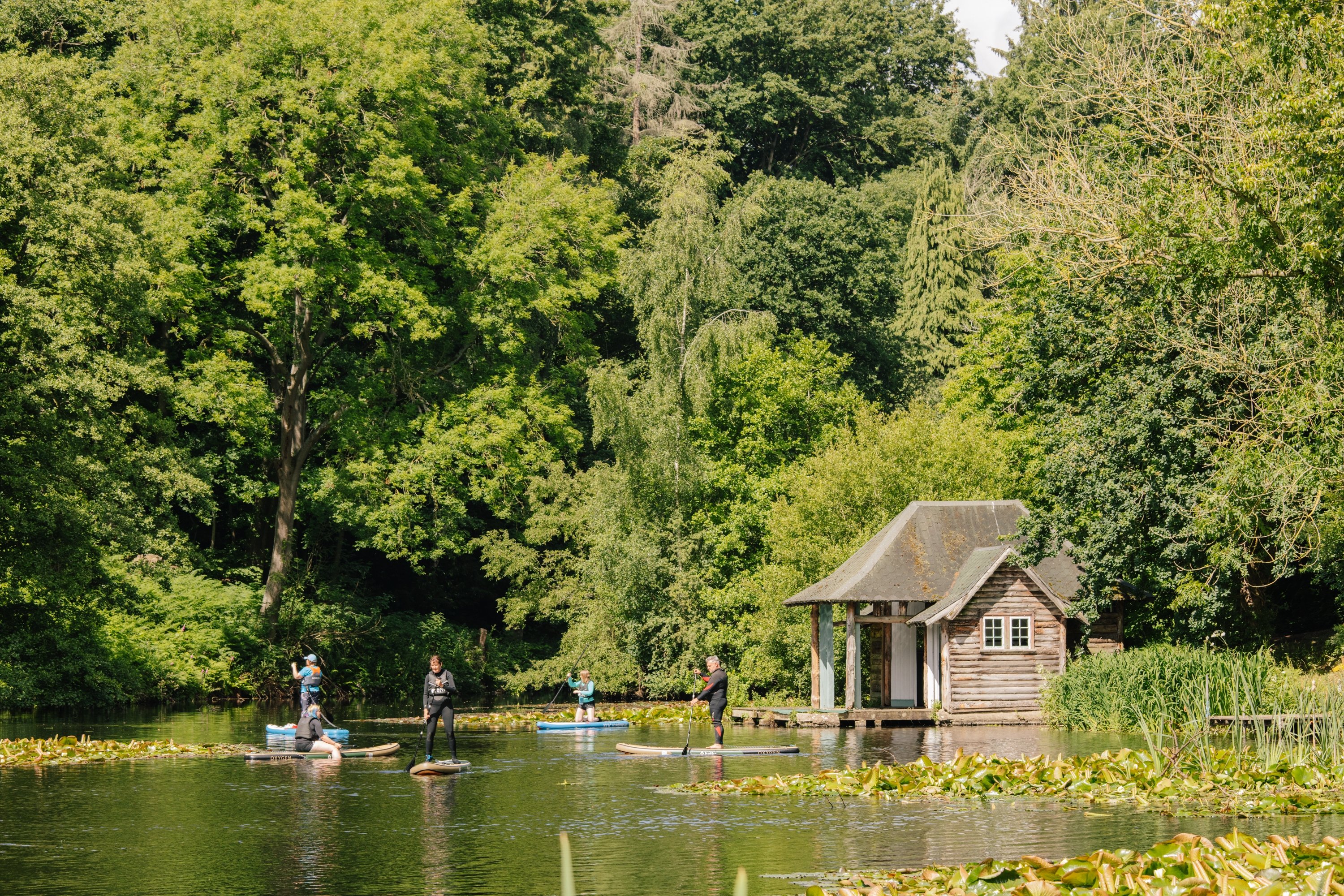 Group of people paddle boarding in wetsuits and lifejackets on a lake next to a tiny wooden lake hut surrounded by moss and tall green trees.