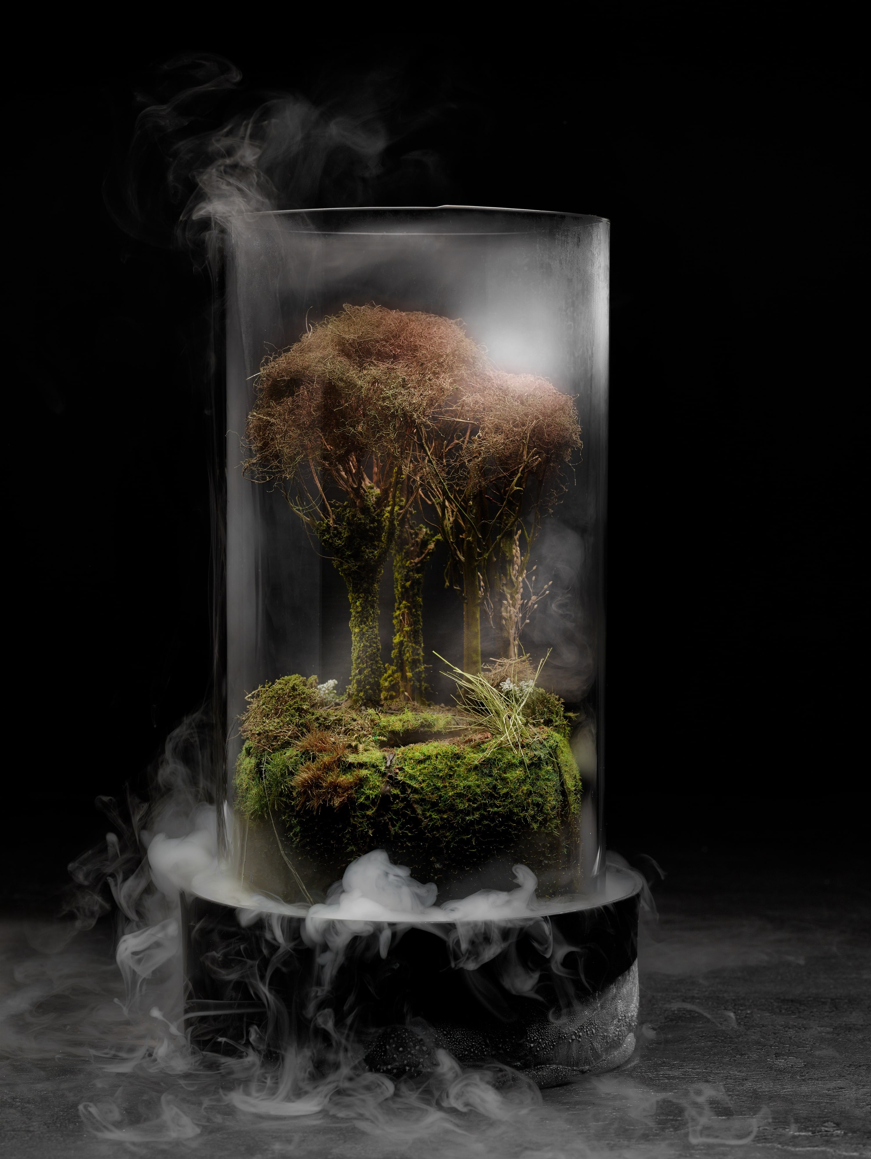 Walk in the woods centre piece by Jose Luis Lopez de Zubiria