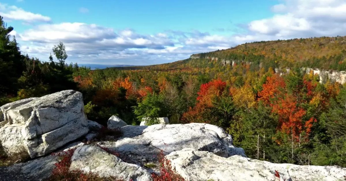 Foliage In Hudson Valley & The Catskills Quintessentially