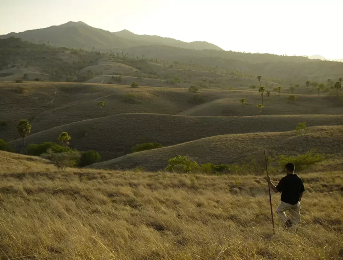 Travel to a UNESCO biosphere reserve