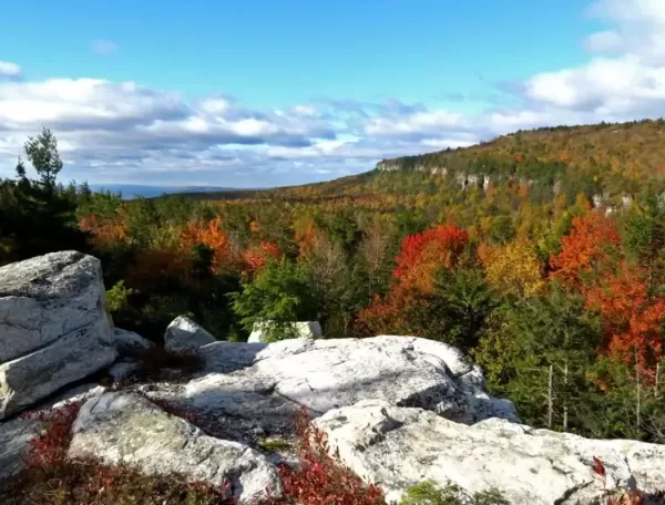 Fall foliage guide: Hudson Valley & the Catskills