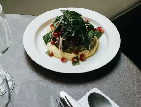 A dish plated on a white round plate, featuring meat topped with leafy greens and garnished with scattered pomegranate seeds. Its served with a light-colored puree. Wine glasses and a spoon are visible on the table beside it.
