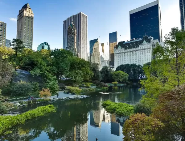 A perfect summer day in NYC