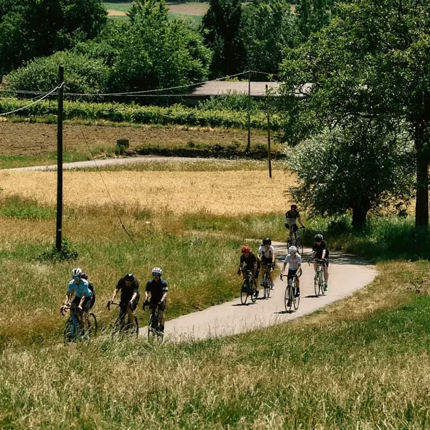 A group of cyclists ride along a narrow paved path through a grassy, rural landscape with trees and fields on a sunny day.