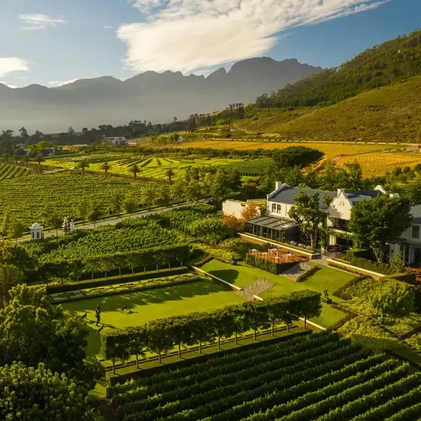 A perfect day in Franschhoek