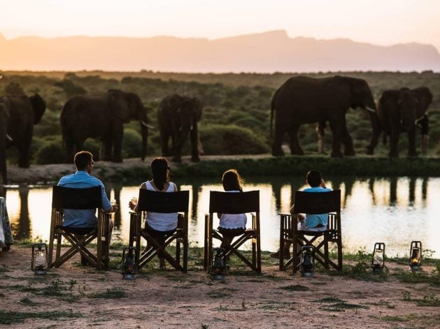 Luxury family safaris in South Africa