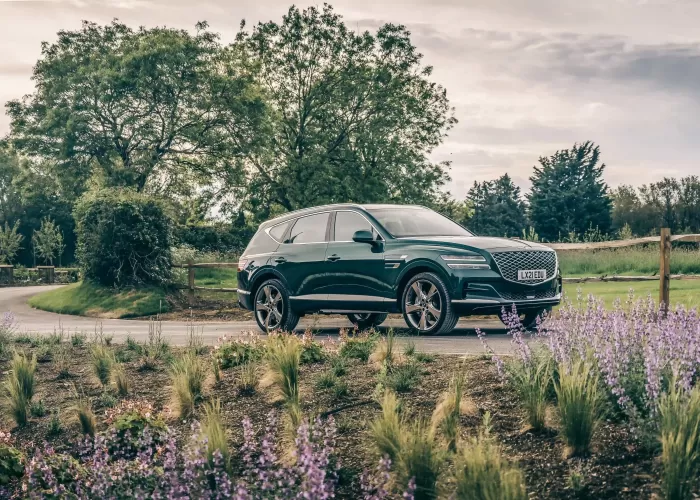 Genesis parked in outside landscape