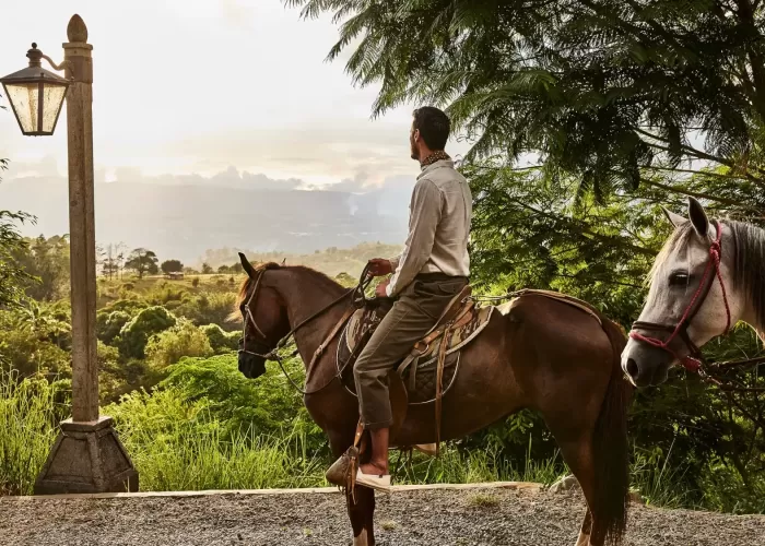 Men riding horse with a view of rainforest in Costa Rica