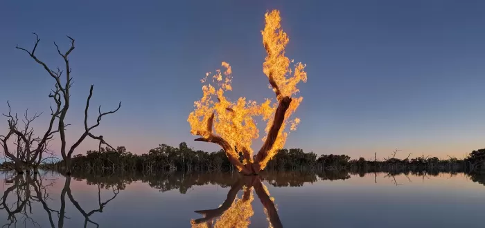 Tree on fire in a lake by photographer, Murray Fredericks