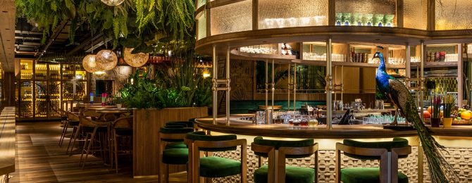 Mayfair's Best Restaurants 